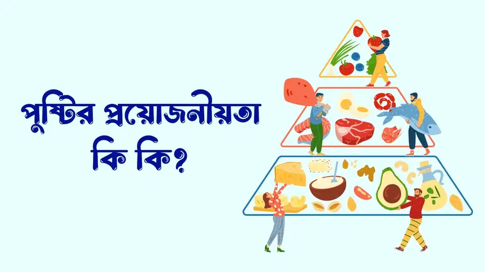 পুস্টি কাকে বলে, পুষ্টি কত প্রকার ও কি কি, পুষ্টির প্রয়োজনীয়তা কি কি, পুষ্টির গুরুত্ব,