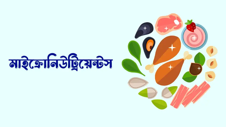 পুস্টি কাকে বলে, পুষ্টি কত প্রকার ও কি কি, পুষ্টির প্রয়োজনীয়তা কি কি, পুষ্টির গুরুত্ব,