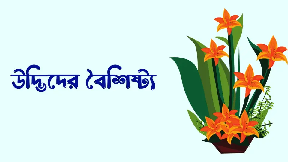 উদ্ভিদ কাকে বলে, উদ্ভিদ কত প্রকার ও কি কি, উদ্ভিদের বৈশিষ্ট্য,