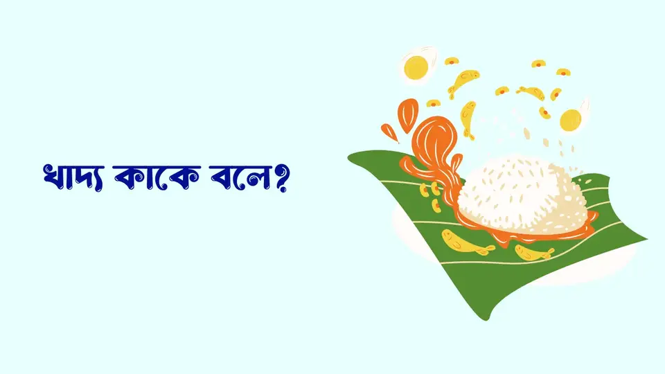 খাদ্য কাকে বলে, খাদ্য কত প্রকার ও কি কি,