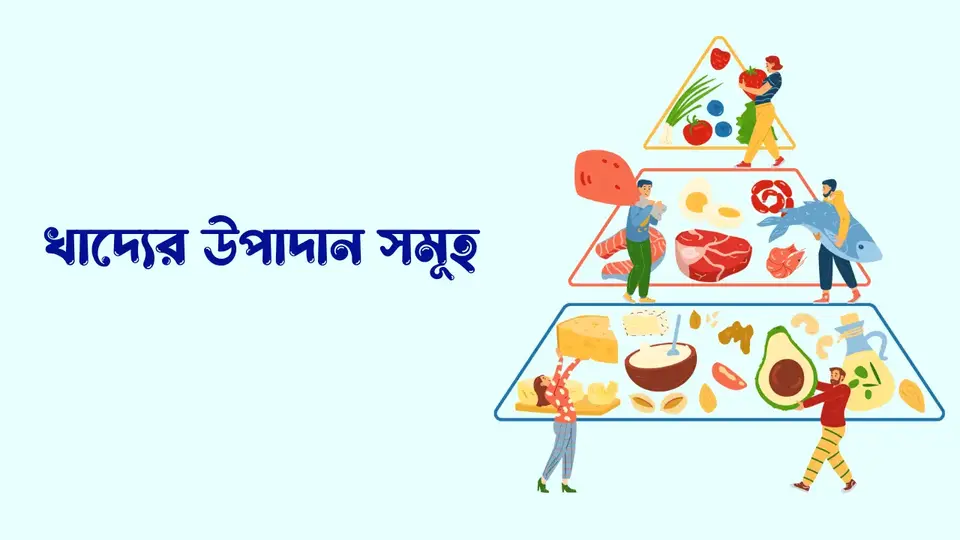 খাদ্য কাকে বলে, খাদ্য কত প্রকার ও কি কি,