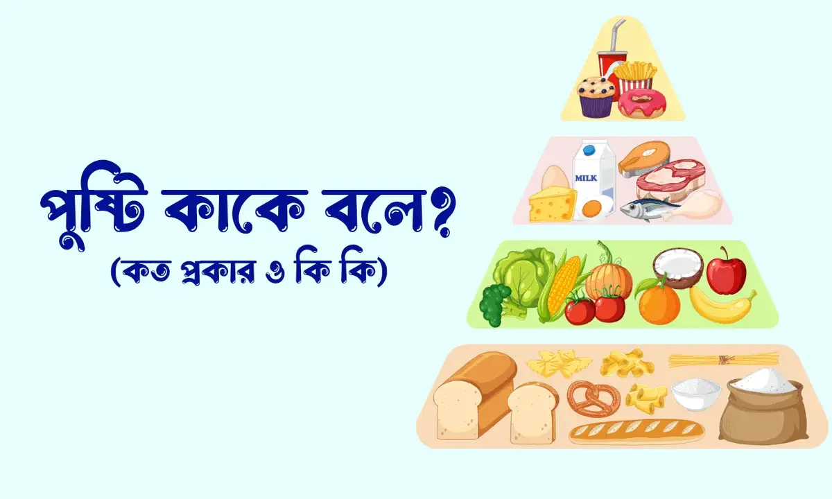 পুষ্টি কাকে বলে, পুষ্টি কত প্রকার ও কি কি, পুষ্টির প্রয়োজনীয়তা কি কি, পুষ্টির গুরুত্ব,