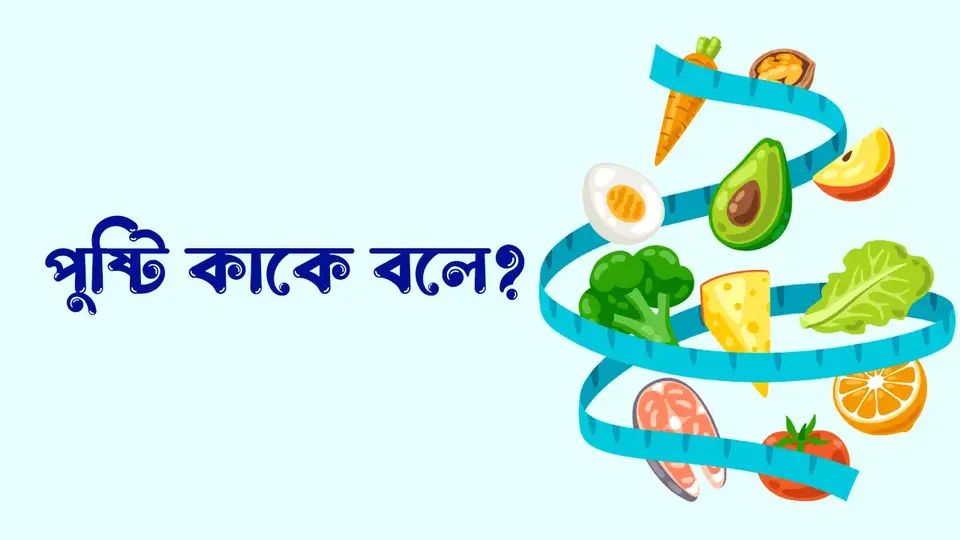 পুষ্টি কাকে বলে, পুষ্টি কত প্রকার ও কি কি, পুষ্টির প্রয়োজনীয়তা কি কি, পুষ্টির গুরুত্ব,