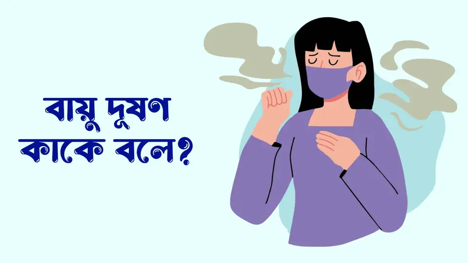 বায়ু দূষণ কাকে বলে, বায়ু দূষণের কারণ ও প্রতিকার, বায়ু দূষণের কারণ, বায়ু দূষণের প্রতিকার,