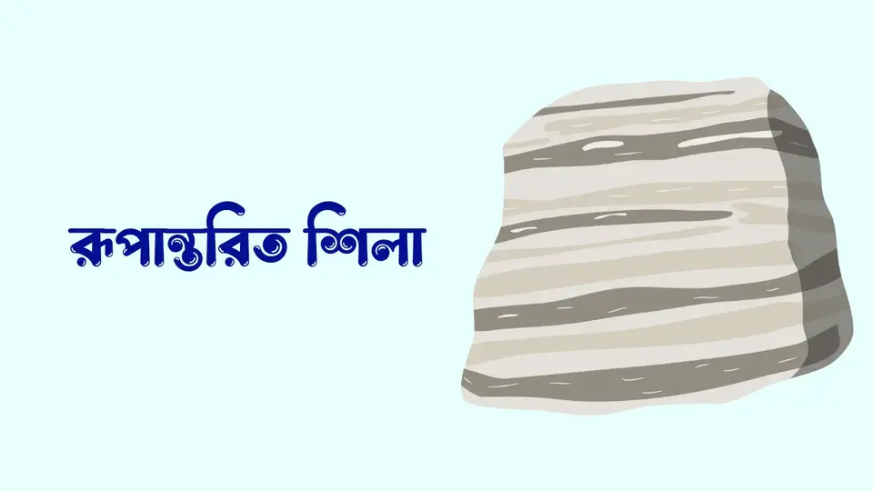 শিলা কাকে বলে, শিলা কত প্রকার ও কি কি