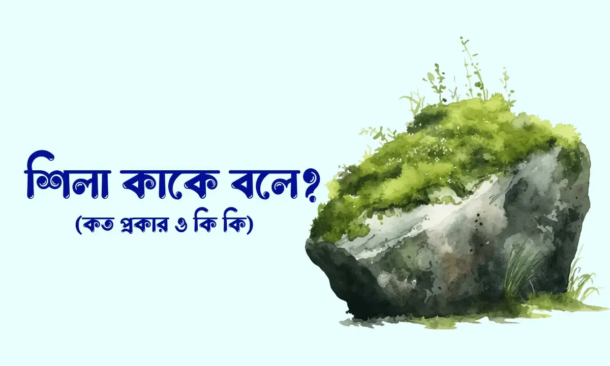 শিলা কাকে বলে, শিলা কত প্রকার ও কি কি