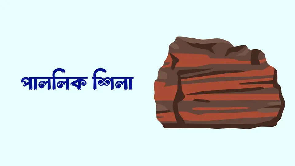 শিলা কাকে বলে, শিলা কত প্রকার ও কি কি