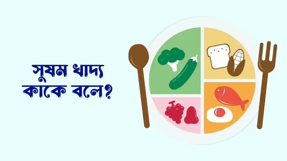 সুষম খাদ্য কাকে বলে, সুষম খাদ্য কত প্রকার ও কি কি, সুষম খাদ্যের ধরন, সুষম খাদ্যের উপাদান, সুষম খাদ্যের প্রয়োজনীয়তা, সুষম খাদ্যের তালিকা,