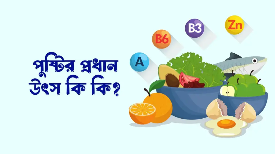 পুষ্টি কাকে বলে, পুষ্টি কত প্রকার ও কি কি, পুষ্টির প্রয়োজনীয়তা কি কি, পুষ্টির গুরুত্ব,