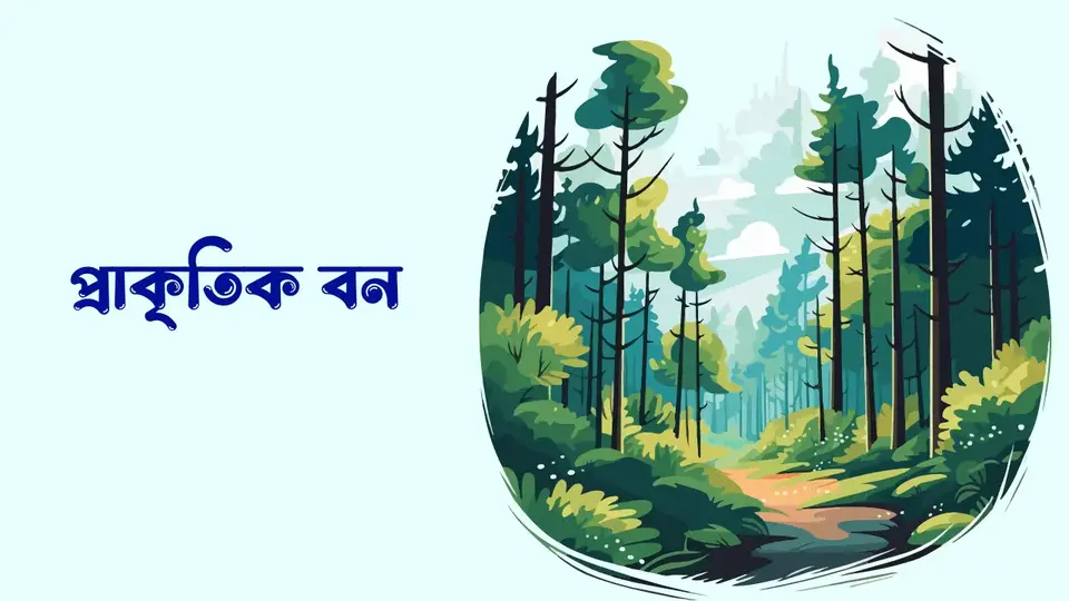 বনভূমি কাকে বলে, বনভূমি কত প্রকার, বনভূমির গুরুত্ব্‌