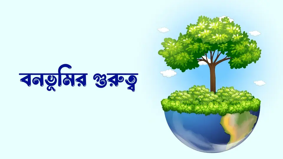 বনভূমি কাকে বলে, বনভূমি কত প্রকার, বনভূমির গুরুত্ব,