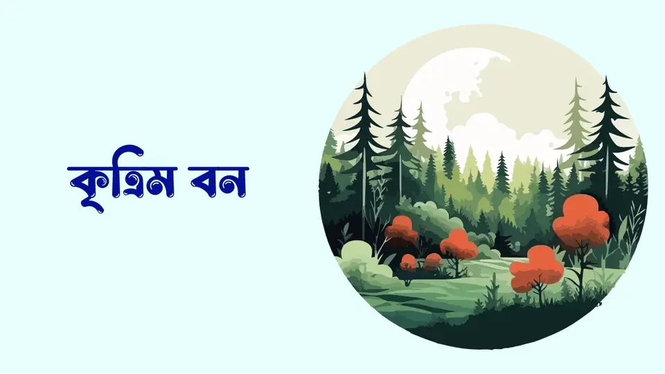 বনভূমি কাকে বলে, বনভূমি কত প্রকার, বনভূমির গুরুত্্‌