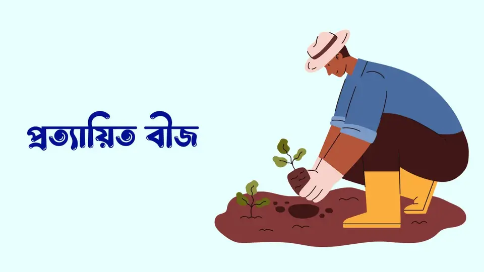 বীজ কাকে বলে, বীজ কত প্রকার ও কি কি