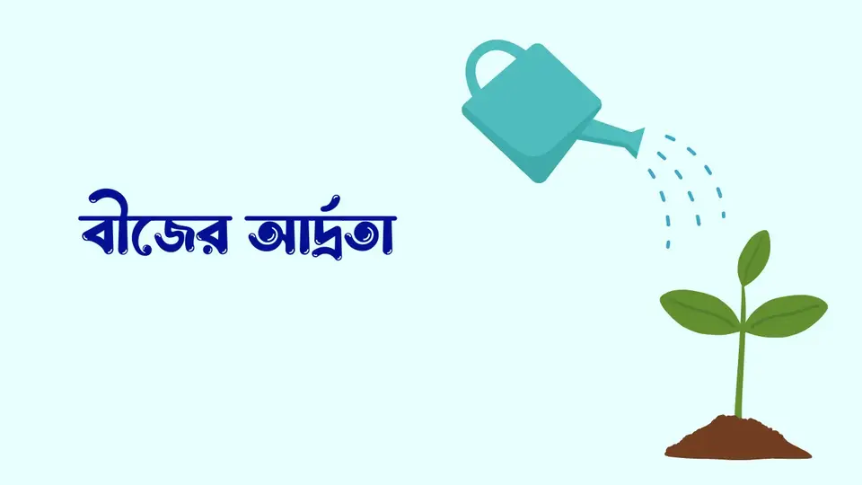 ভালো বীজের বৈশিষ্ট্য