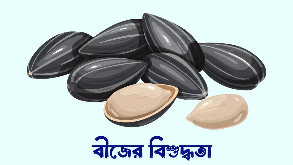 ভালো বীজের বৈশিষ্ট্য